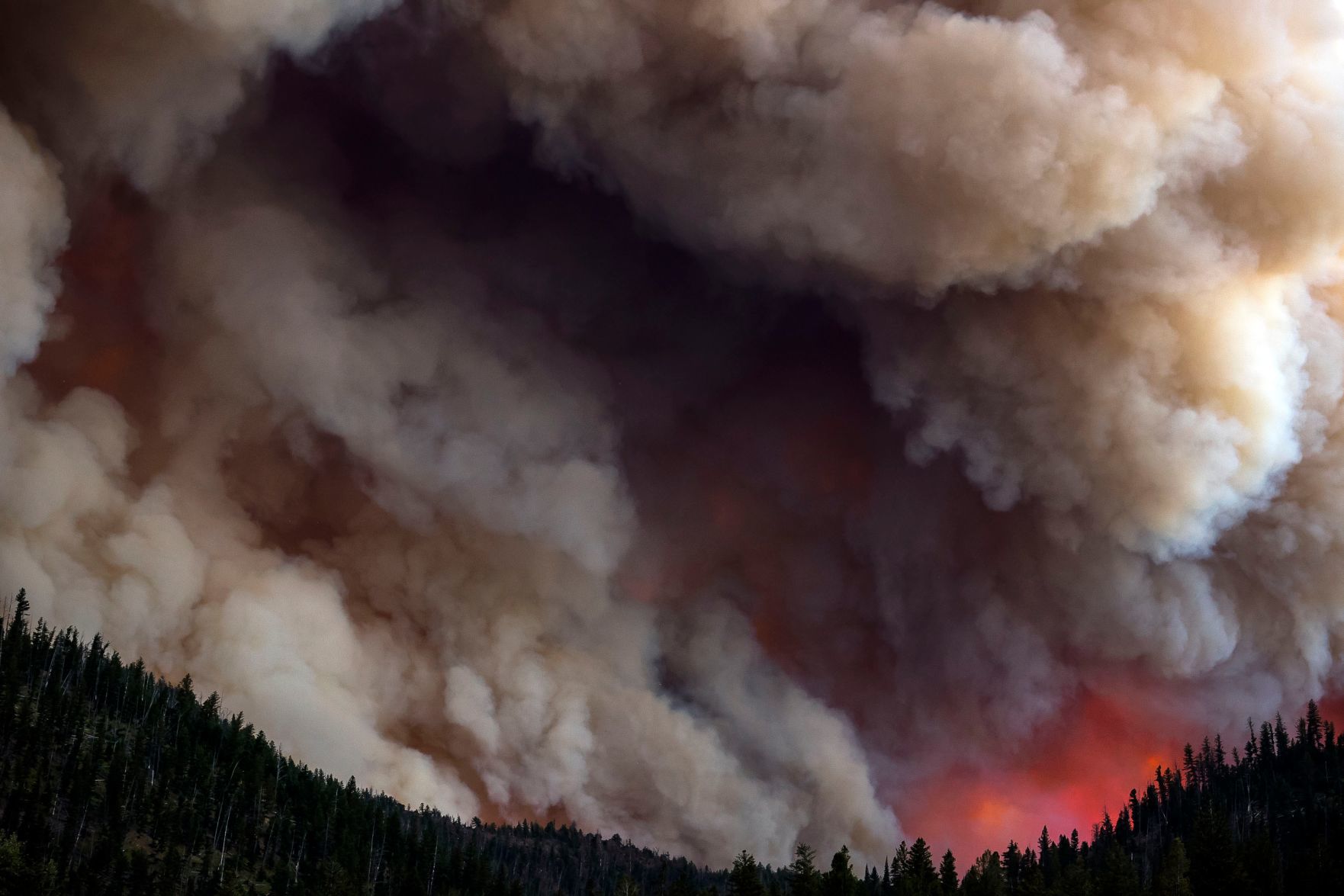 Fishhawk Fire